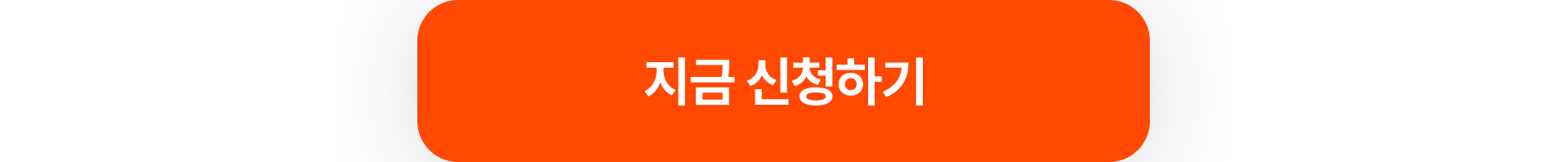 지금 신청하기 버튼