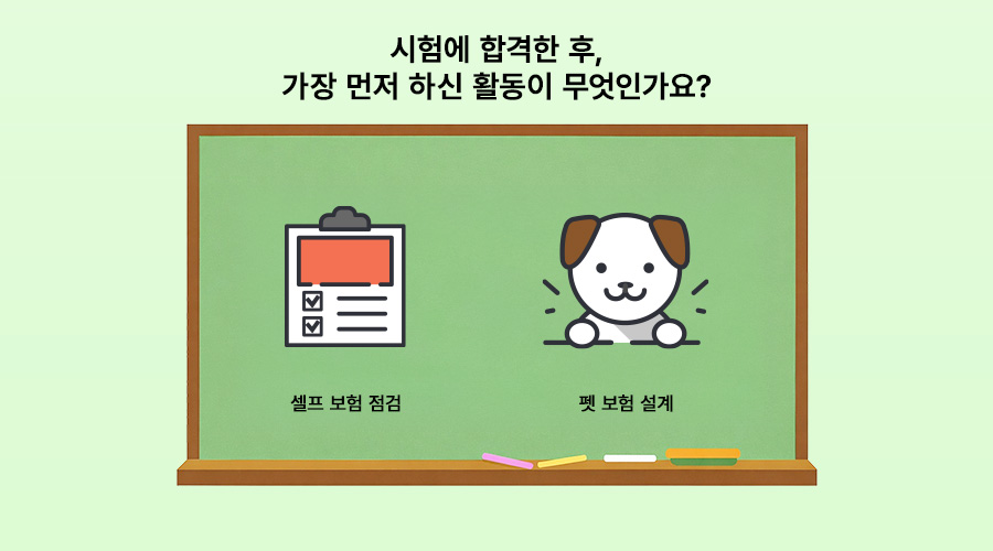 내 보험 조회, 보험 정리, 부수입 창출, 보험 공부, 메리츠 펫보험